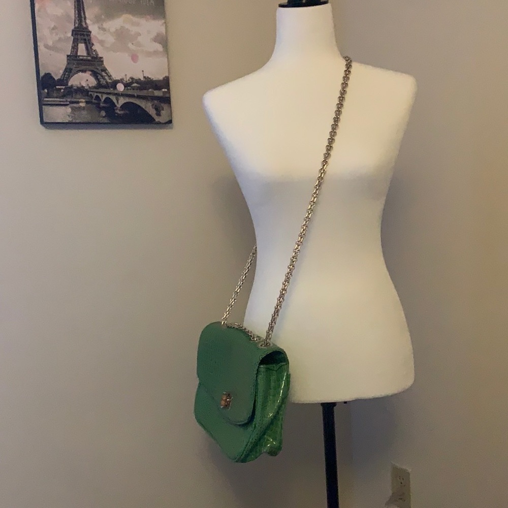AMIRITA SINGH | green purse with gold chain